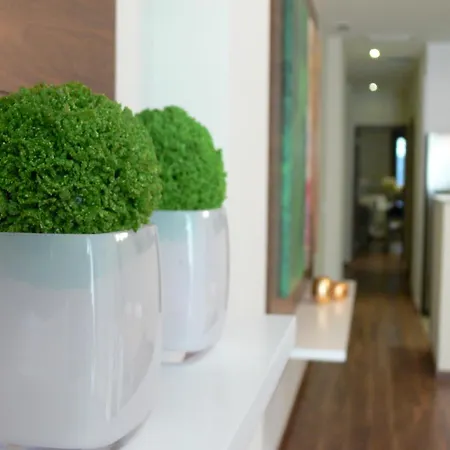 Appartement Center Flats